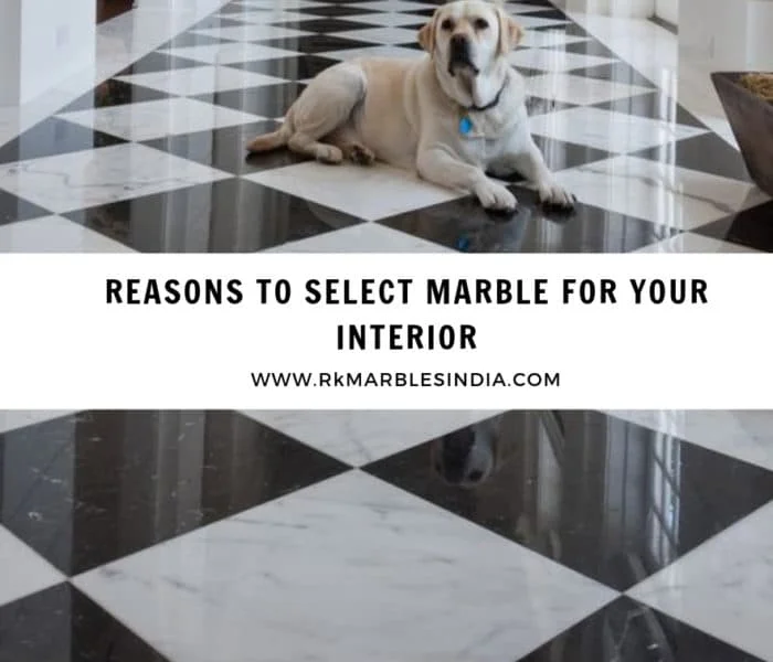 Reasons to Select Marble for Your Interior