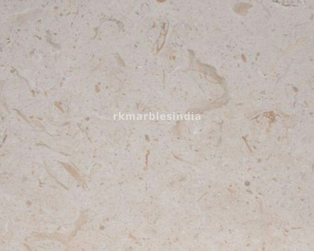 shell stone marble 