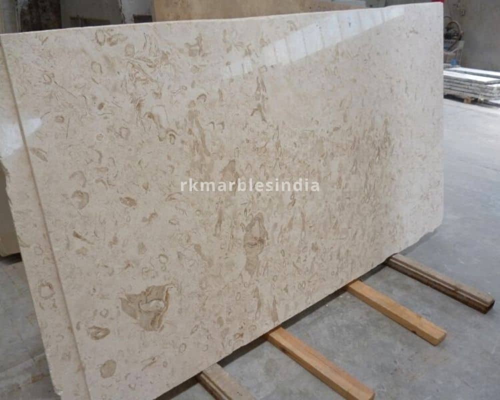 shell stone marble 