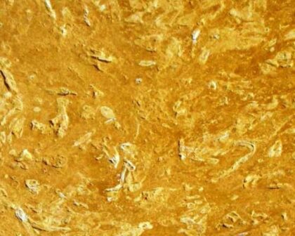 Flowery gold marble